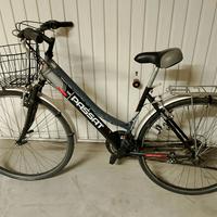 bici trekking Passat 