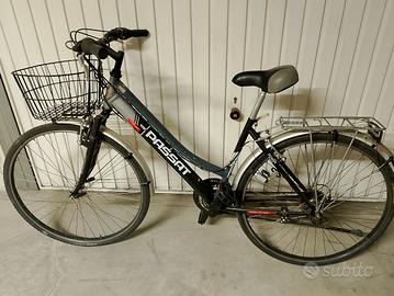 bici trekking Passat 