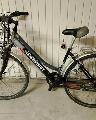 bici trekking Passat 