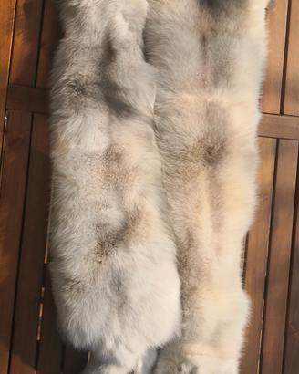 pelli di volpe argentata