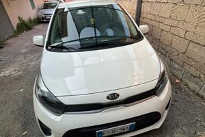 Kia picanto 2019