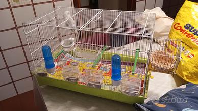 Gabbia e inseparabile