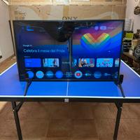 Smart Tv Sony Bravia 43"