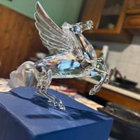 Cavallino