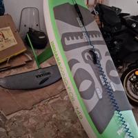wingfoil in carbonio indiana 