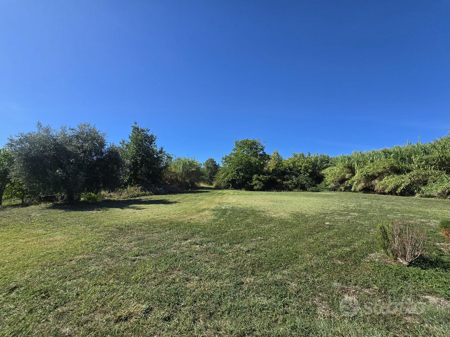 Terreno con casale da ristrutturare e accessori - Vista 4