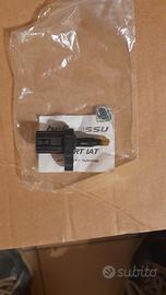 smart iat  per triumph