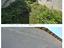 Immagine 8