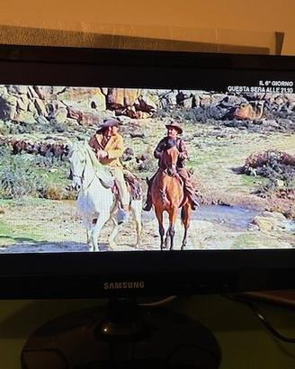 SAMSUNG MONITOR TV 19