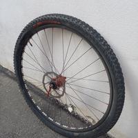 ruota 29 frm urano 