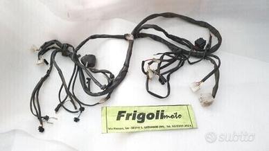 IMPIANTO ELETTRICO CIAK MASTER 50 4t 2005 2006 CAB