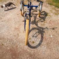 triciclo