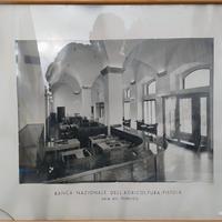 quadro banca nazionale agricoltura Pistoia 