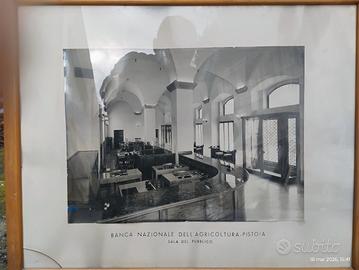 quadro banca nazionale agricoltura Pistoia 