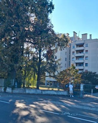 Appartamento signorile in via Zanardi, 514 Bologna