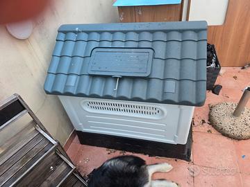 cuccia per cani taglia xl