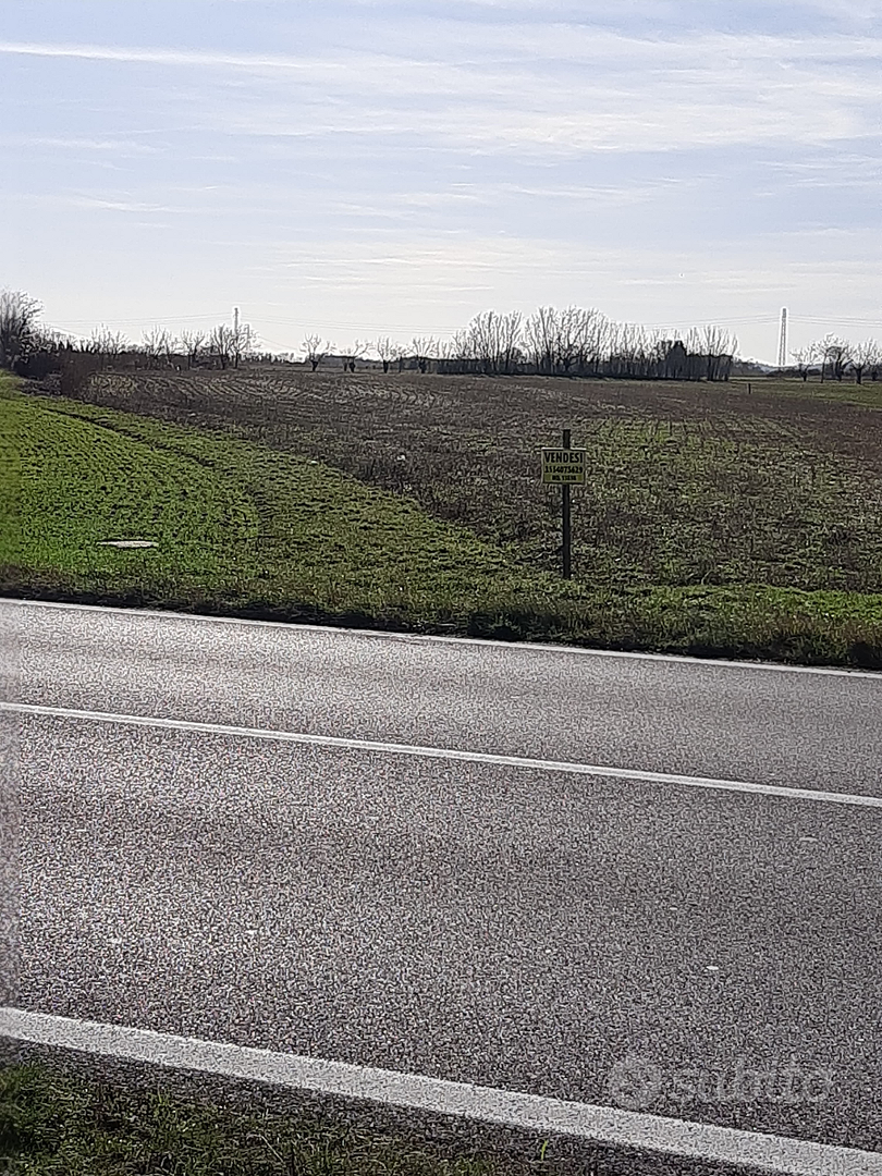 Vendita terreni agricoli - zona Moimacco - Vista 3