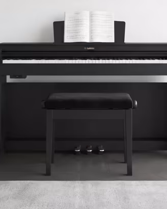 Yamaha Arius YDP-163 Pari al Nuovo con Panchetta