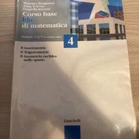 Corso base blu di matematica 4