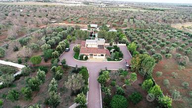 Villa con parco e piscina