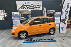 FIAT NEW PANDA CITY LIFE HYBRID 70CV 2020 XNEOPATE