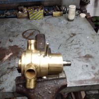 Pompa acqua salata FNM