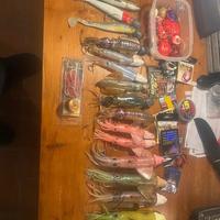 Calamari JLC