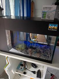 acquario 