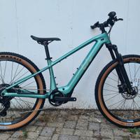 Liv Tempt E+