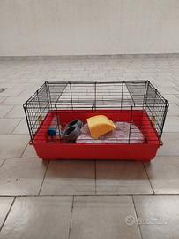 Gabbia per animali