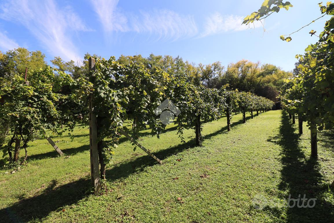 House in Roncoferraro, Governolo - Vista 5