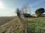 Immagine 13