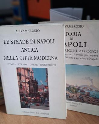 2 tascabili su storia e strade di Napoli
1) Storia