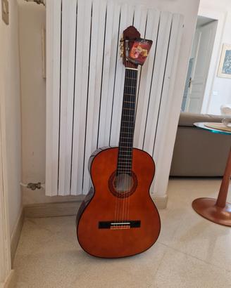 chitarra acustica 