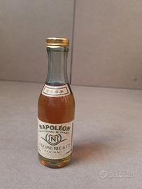 napoleon mognon