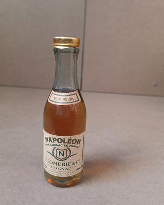 napoleon mognon