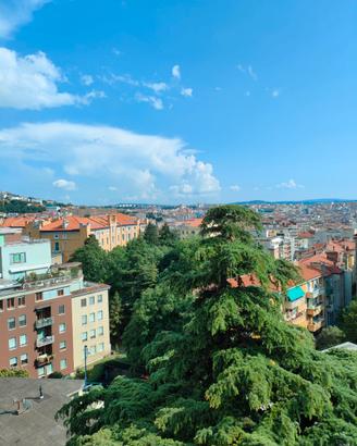 Trilocale con box e 2 balconi