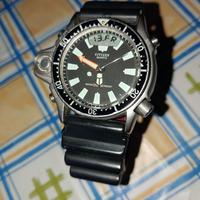 Citizen Aqualand Promaster