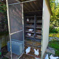 Voliera con piccioni