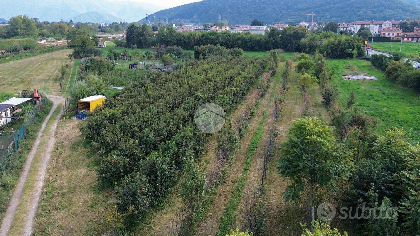 TER. AGRICOLO A CONCESIO - Vista 4