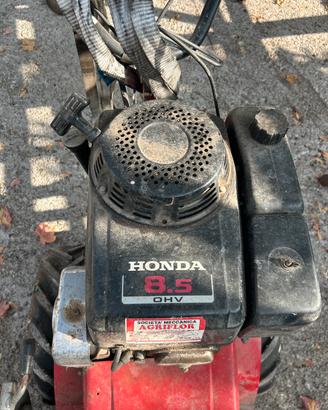 Trincia erba honda