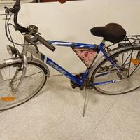 Bicicletta Uomo FREJUS SPECIAL FRAME
