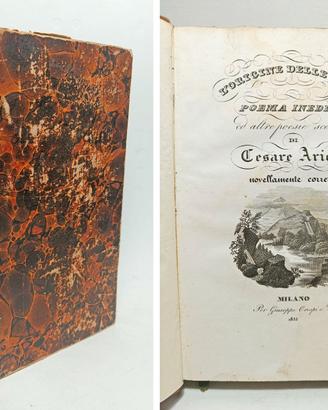 L'ORIGINE DELLE FONTI. POEMA INEDITO ARICI CESARE