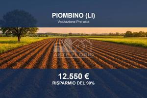 Immobile in asta di 200 m² a Piombino