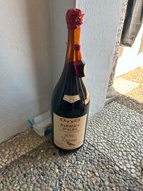 barbera d'alba