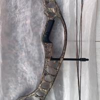 Arco Hoyt Ignite