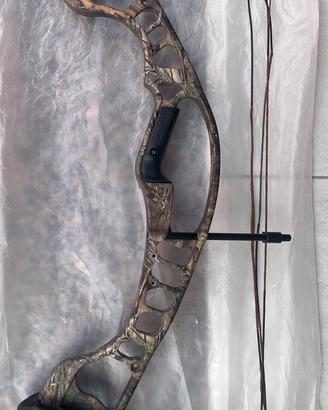 Arco Hoyt Ignite