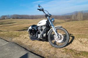 sposter 883 custom