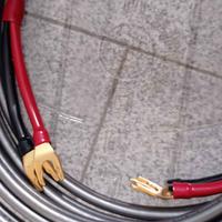 Wireworld Orbit 5 cavo altoparlanti