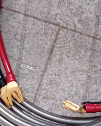 Wireworld Orbit 5 cavo altoparlanti